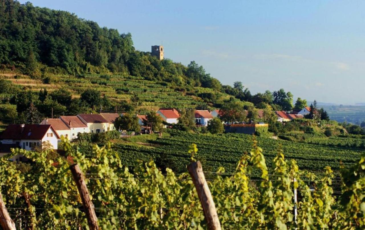グナーデンヴァルトPrabatsch-Aichinger Winzergutアパートメント エクステリア 写真